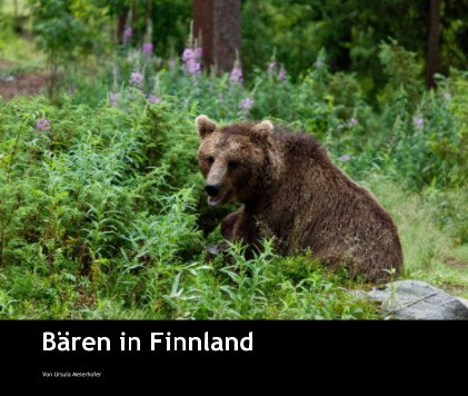 Bären in Finnland book cover