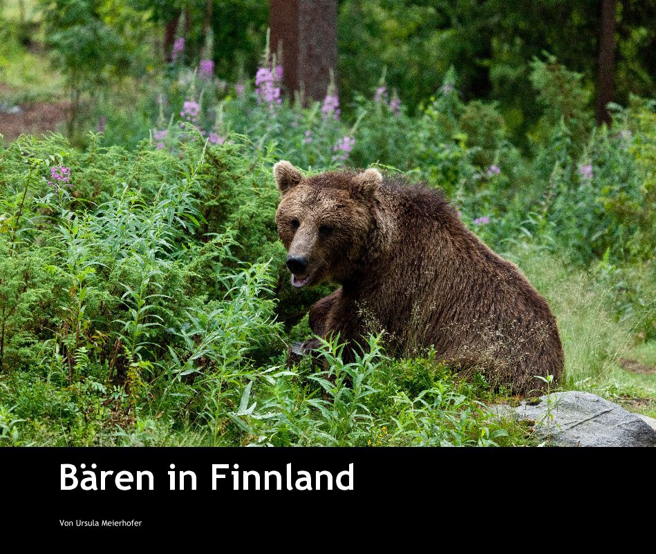 View Bären in Finnland by Von Ursula Meierhofer