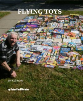 FLYING TOYS book cover