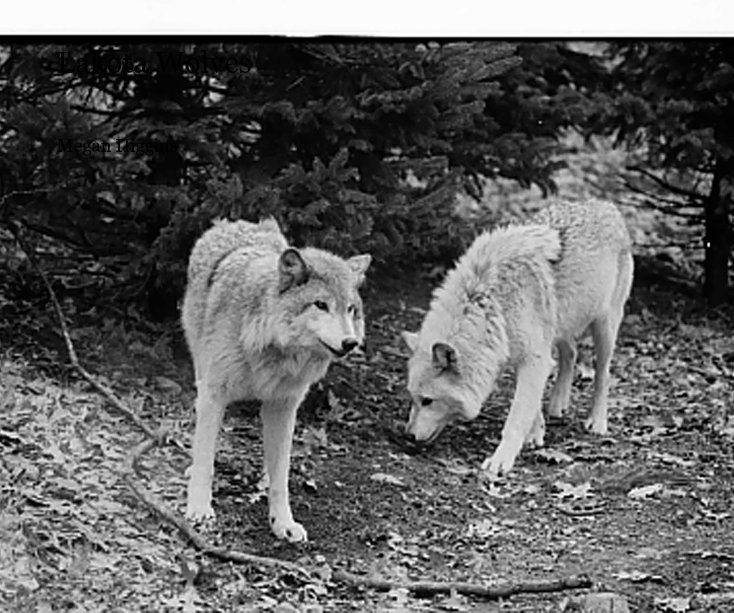 View Lakota Wolves by Megan Higgins