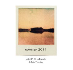 summer 2011 book cover