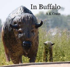 In Buffalo book cover