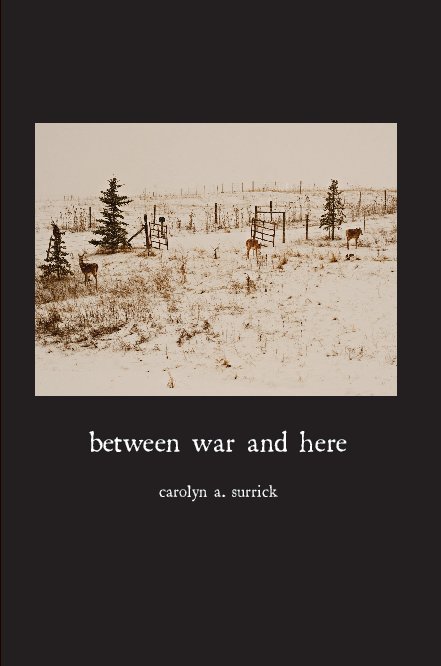 View between war and here by Carolyn A. Surrick