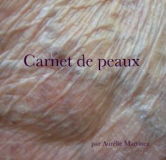 Carnet de peaux book cover