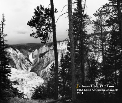 Jackson Hole VIP Tour book cover