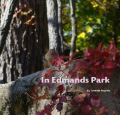 In Edmands Park book cover