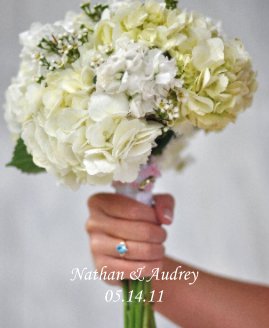 Nathan & Audrey 05.14.11 book cover