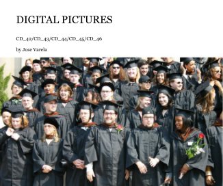 DIGITAL PICTURES book cover