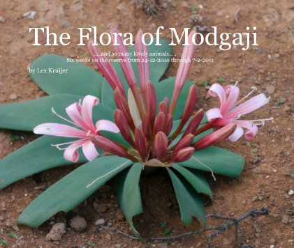 The Flora of Modgaji .....and so many lovely animals..... Six weeks on the reserve from 24-12-2010 through 7-2-2011 book cover