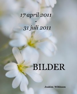 17 april 2011 - 31 juli 2011 book cover