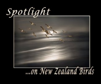 Spotlight on NZ Birds book cover