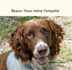 Beaux-Yeux mène l'enquête book cover
