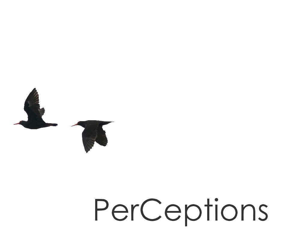 View PerCeptions by Oliver Behn