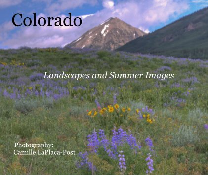 Colorado book cover