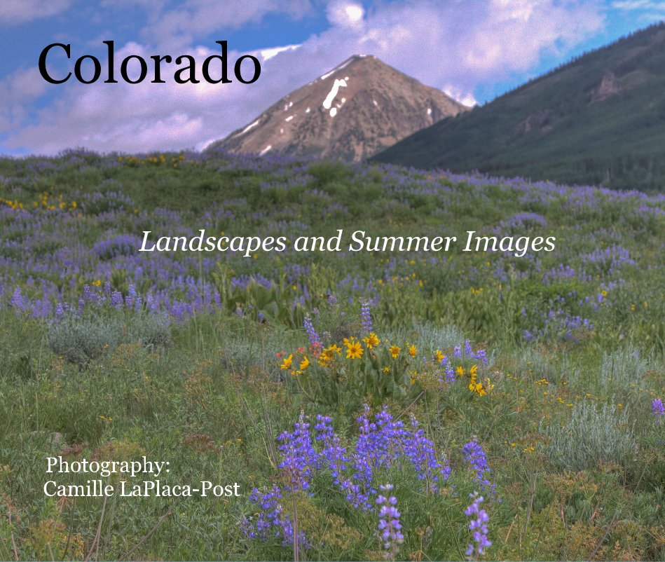 View Colorado by Camille LaPlaca-Post