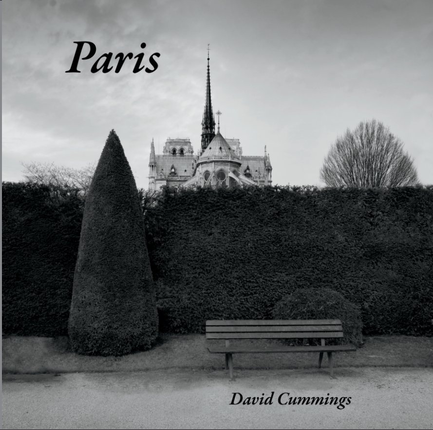 View Paris by David Cummings