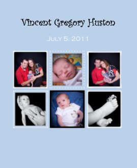Vincent Gregory Huston book cover