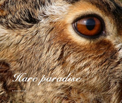 Hare paradise book cover
