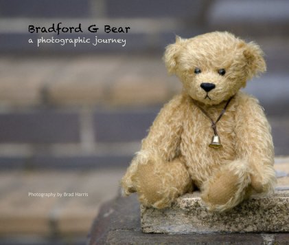 Bradford G Bear a photographic journey book cover