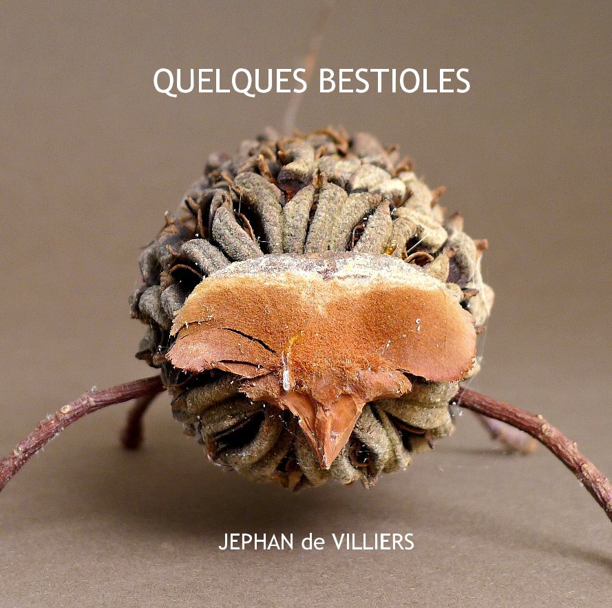 View QUELQUES BESTIOLES by JEPHAN de VILLIERS