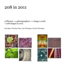 208 in 2011 book cover