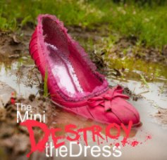 Destroy the Dress book cover
