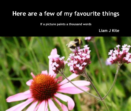 Here are a few of my favourite things book cover