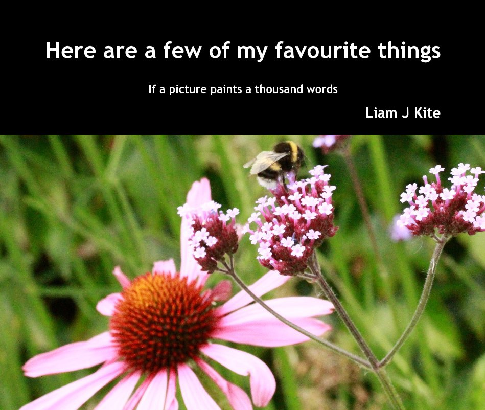 View Here are a few of my favourite things by Liam J Kite