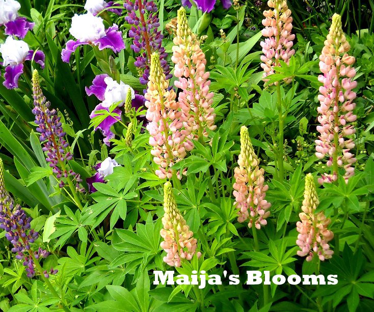 View Maija's Blooms by IrenaMara