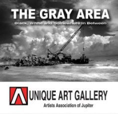The Gray Area book cover