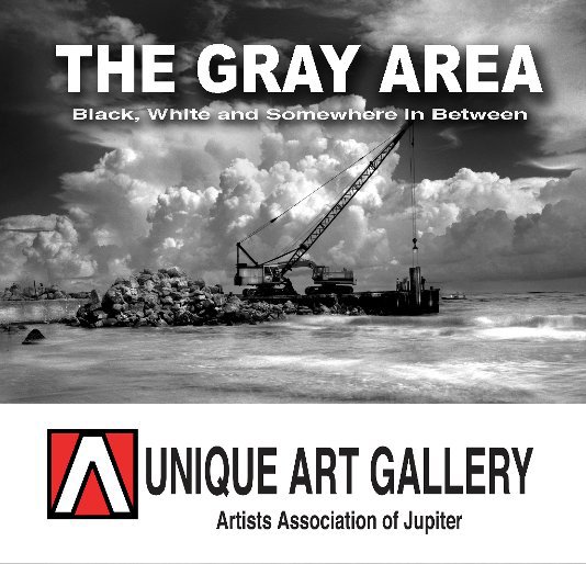 View The Gray Area by Artists Association of Jupiter