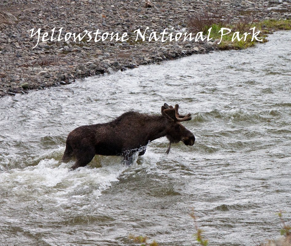 View Yellowstone National Park by Mindy A. Jost