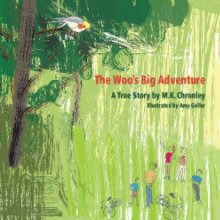 The Woo's Big Adventure book cover
