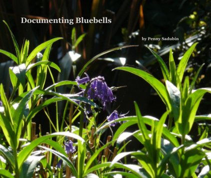 Documenting Bluebells book cover