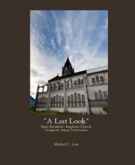 "A Last Look" book cover