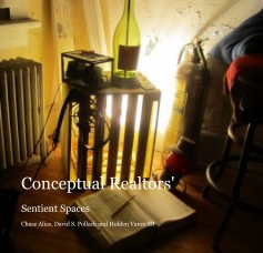Conceptual Realtors' book cover