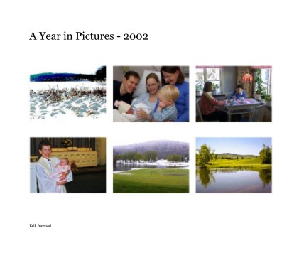 A Year in Pictures - 2002 book cover