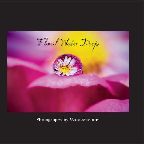 View Floral Water Drops by Marc Sheridan