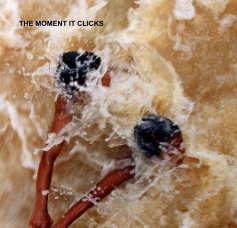 THE MOMENT IT CLICKS book cover