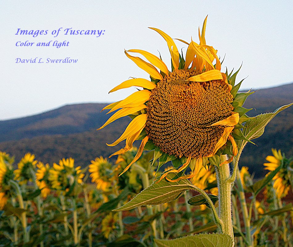 View Images of Tuscany: Color and Light by David L. Swerdlow