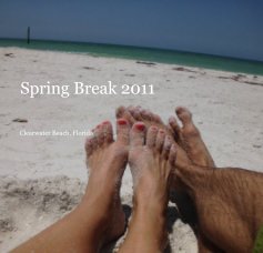 Spring Break 2011 book cover