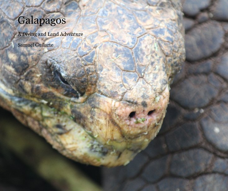 View Galapagos by Samuel Guilarte