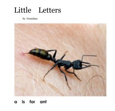 Little    Letters book cover