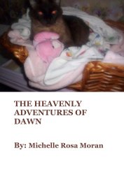 THE HEAVENLY ADVENTURES OF DAWN book cover