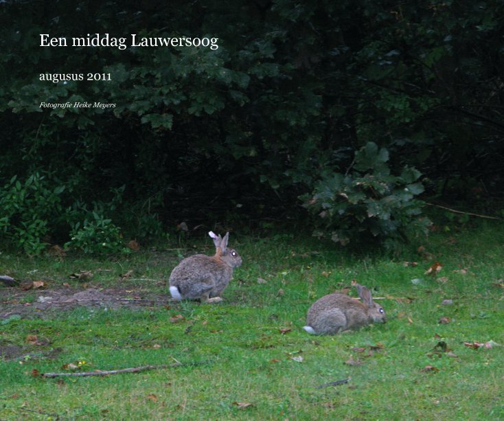 Bekijk Een middag Lauwersoog op Fotografie Heike Meyers