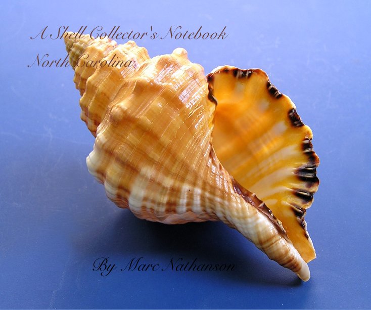 Ver A Shell Collector's Notebook por Marc Nathanson