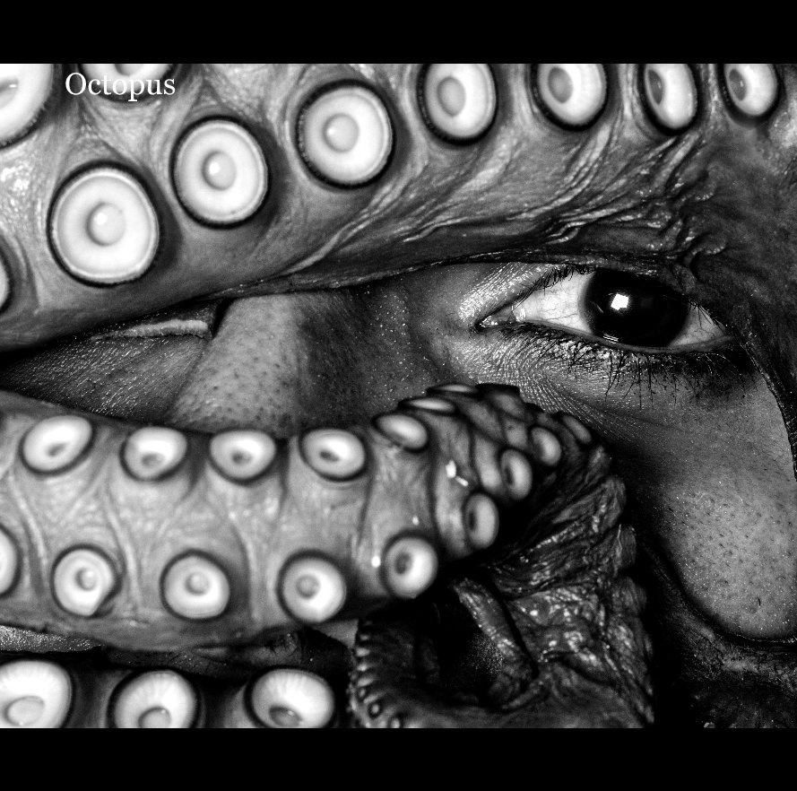 View Octopus by stevendavid