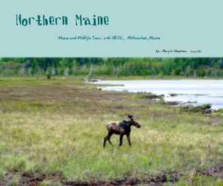 Northern Maine book cover