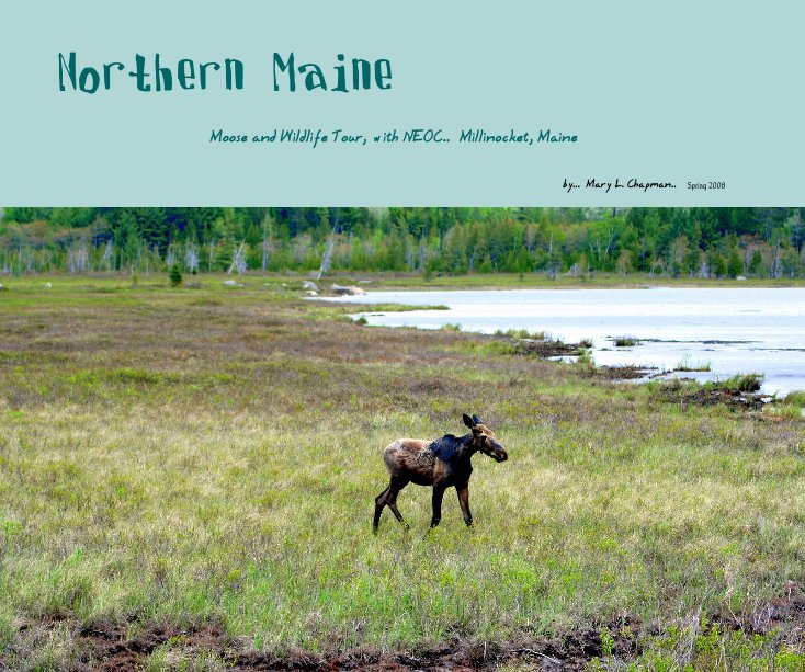 View Northern Maine by Mary L. Chapman