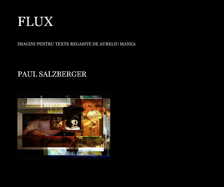 View FLUX by PAUL SALZBERGER